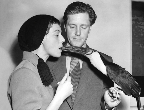 The Durrells and a Toucan